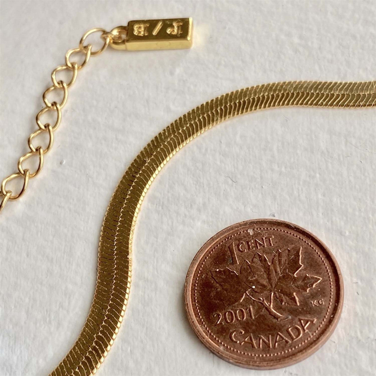 Nirah Snake Chain Necklace