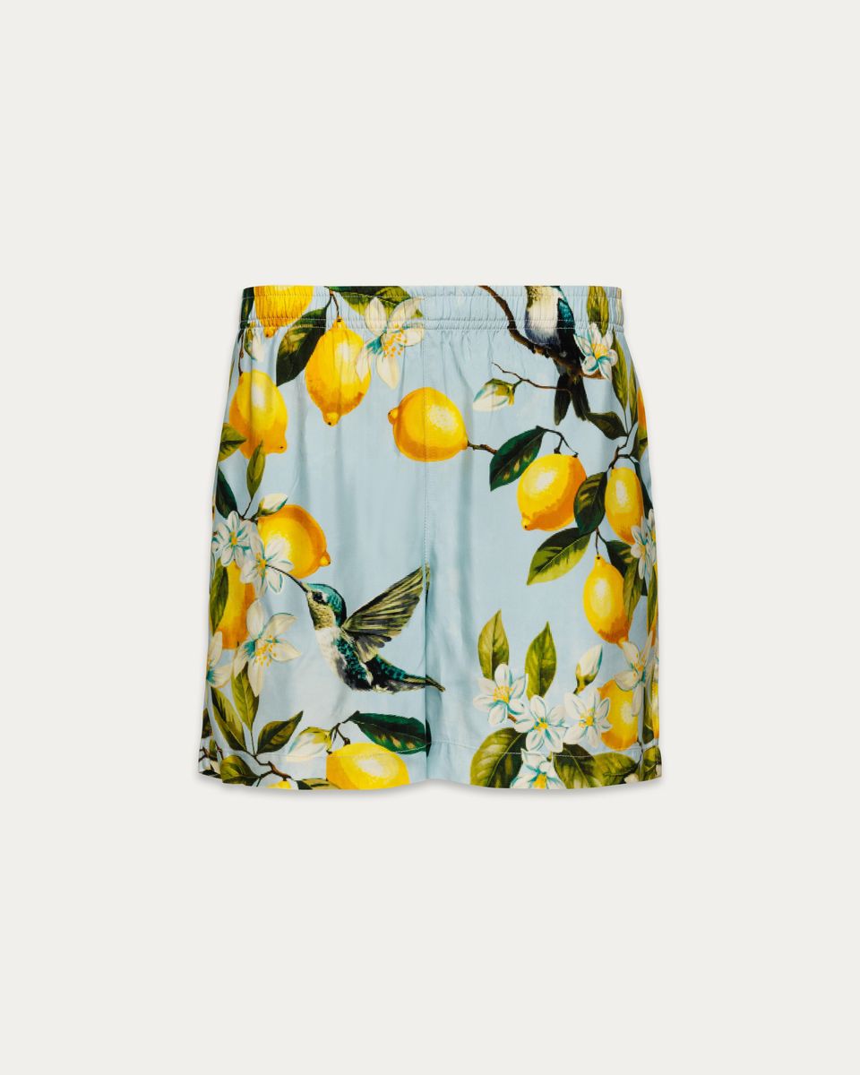 Lemon Hummingbird Shorts