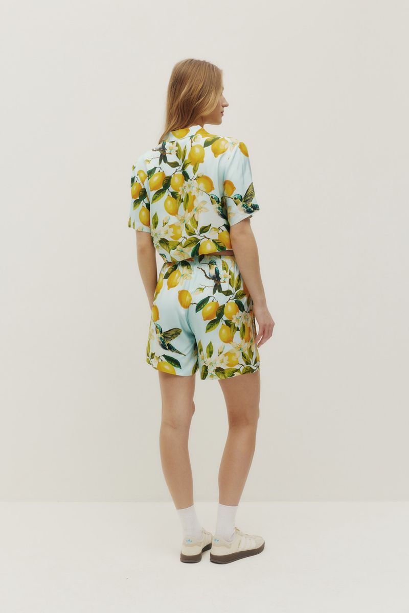 Lemon Hummingbird Shorts