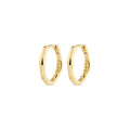 Nova Sculptural Hoop Earrings