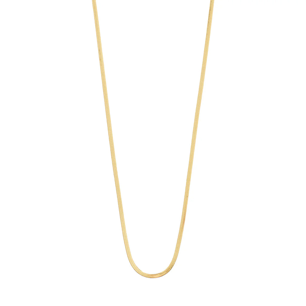 Nikita Herringbone Chain Necklace
