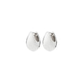 Kaisyn Droplet-Shaped Earrings