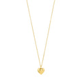 Revan Delicate Heart Necklace