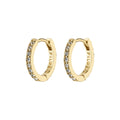 Ebna Small Crystal Hoops