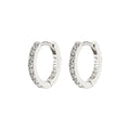 Ebna Small Crystal Hoops