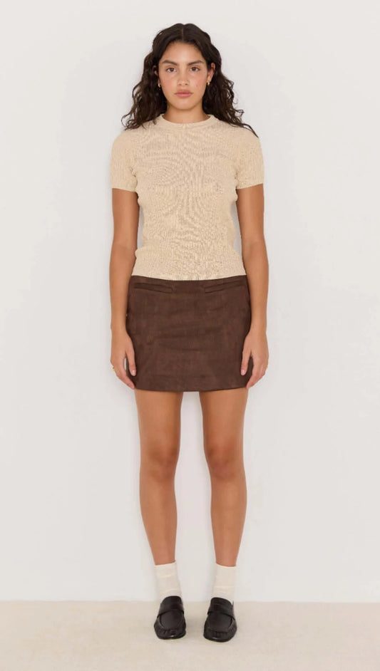 Aston Suede Mini Skirt