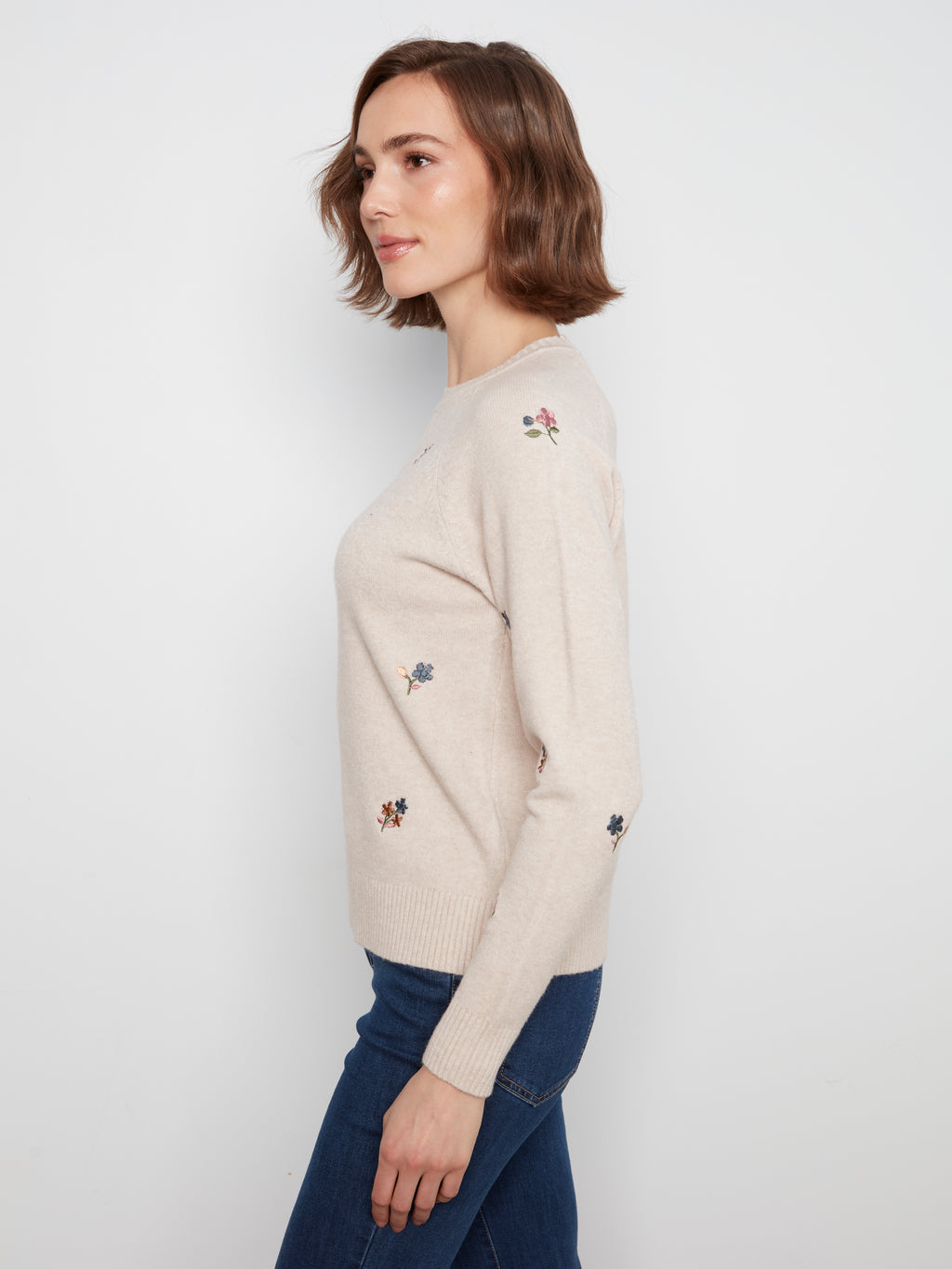 Embroidered Raglan Sleeve Crewneck Sweater