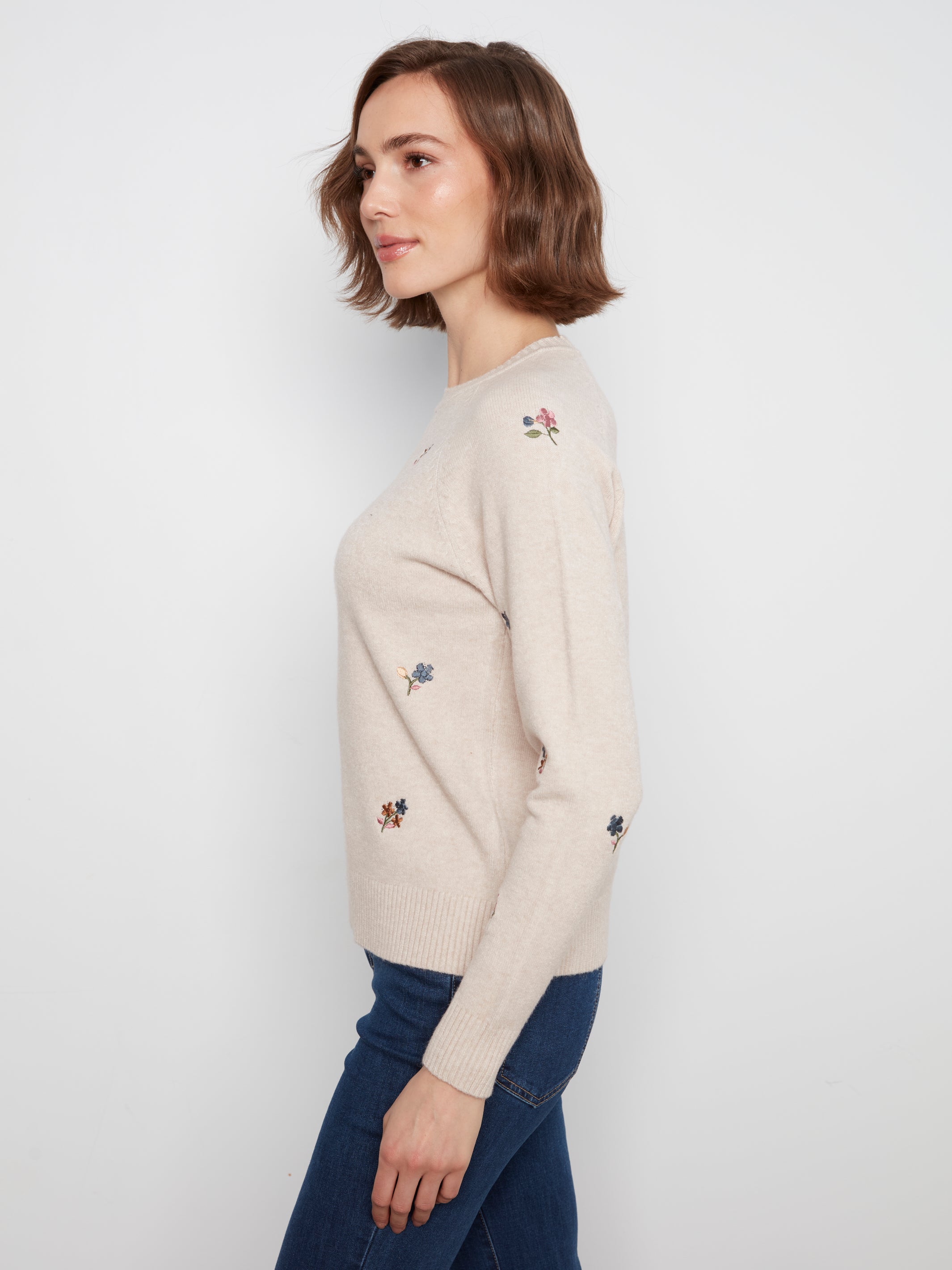 Embroidered Raglan Sleeve Crewneck Sweater