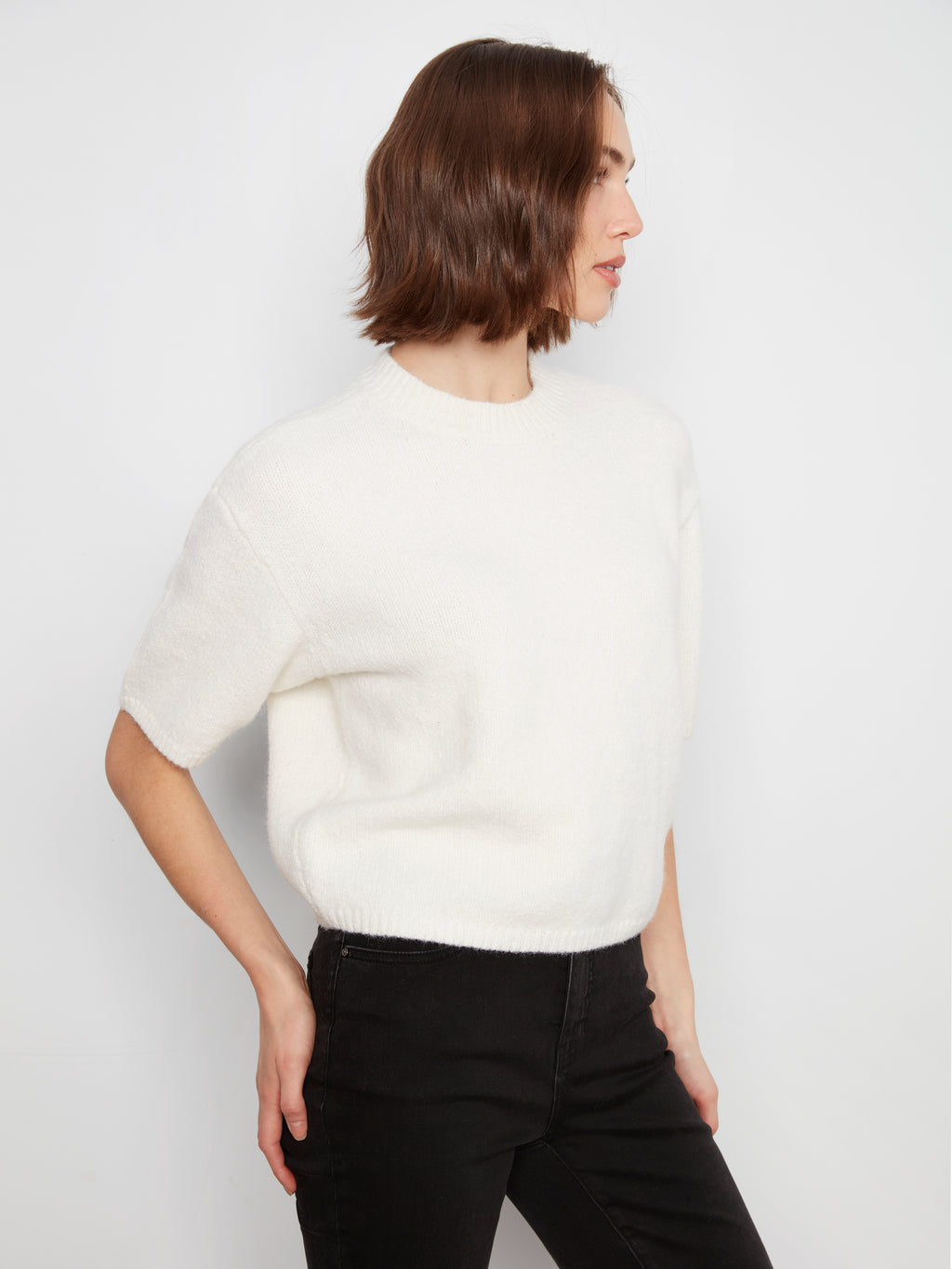 Elbow Sleeve Balloon Shape Sweater