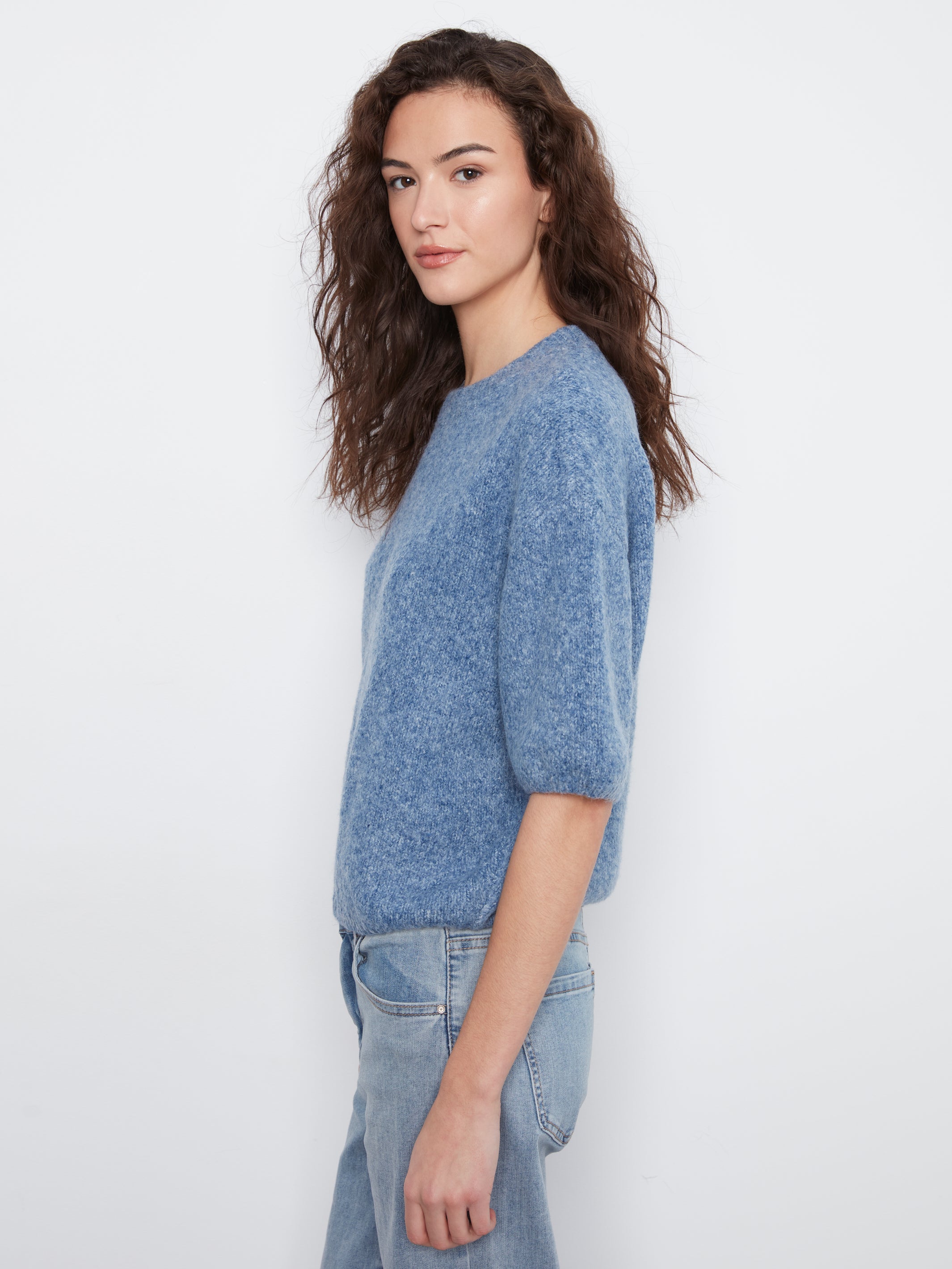 Elbow Sleeve Balloon Shape Sweater