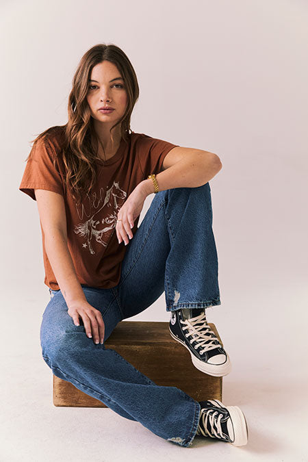 CHASER - WILD HORSES