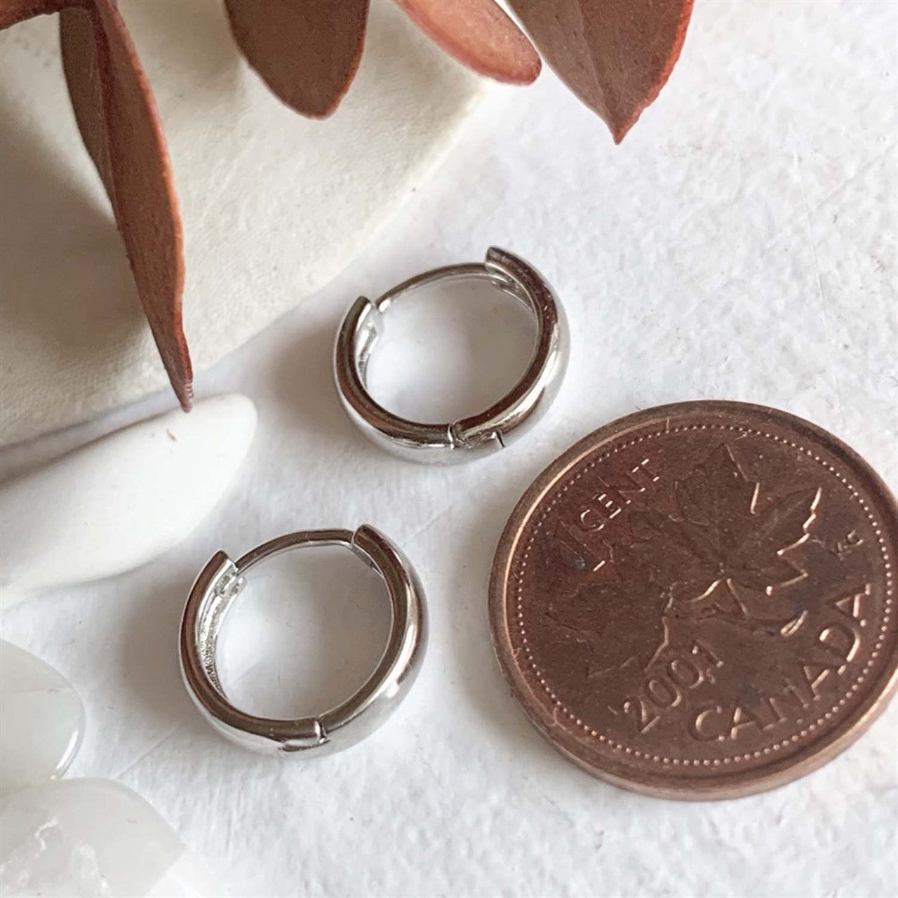 Coco 12mm Hoop Earrings