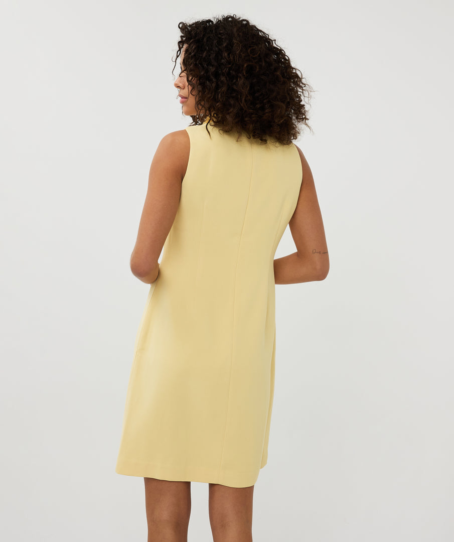 Sleeveless Bow Detail Mini Dress