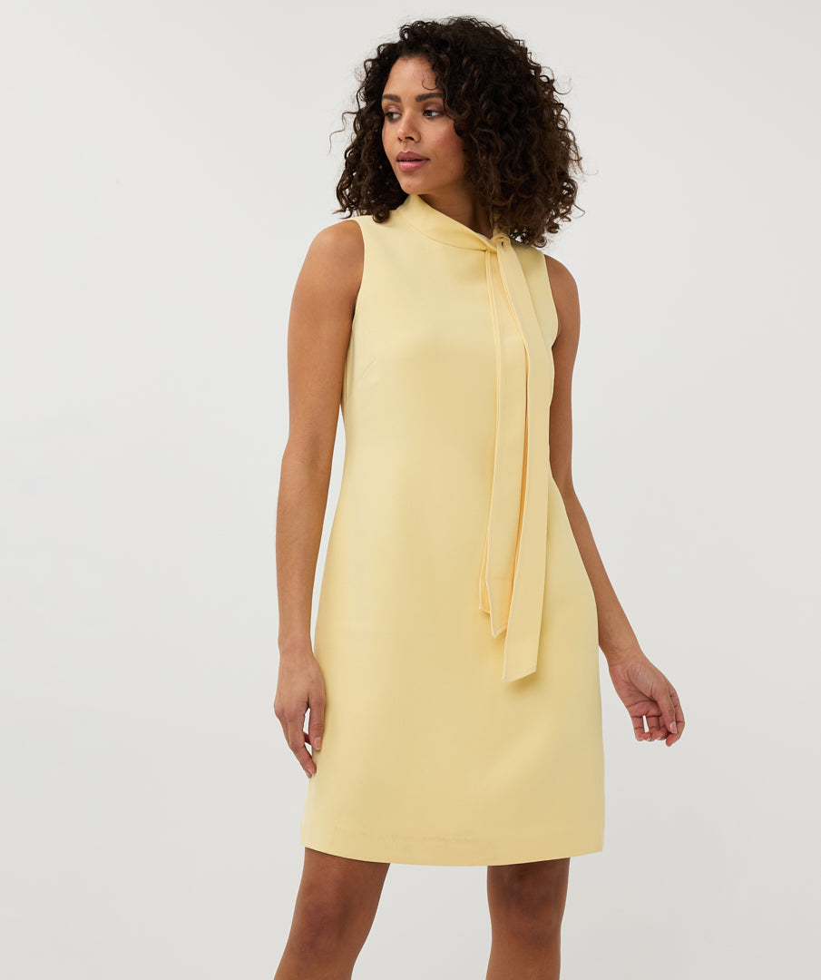 Sleeveless Bow Detail Mini Dress