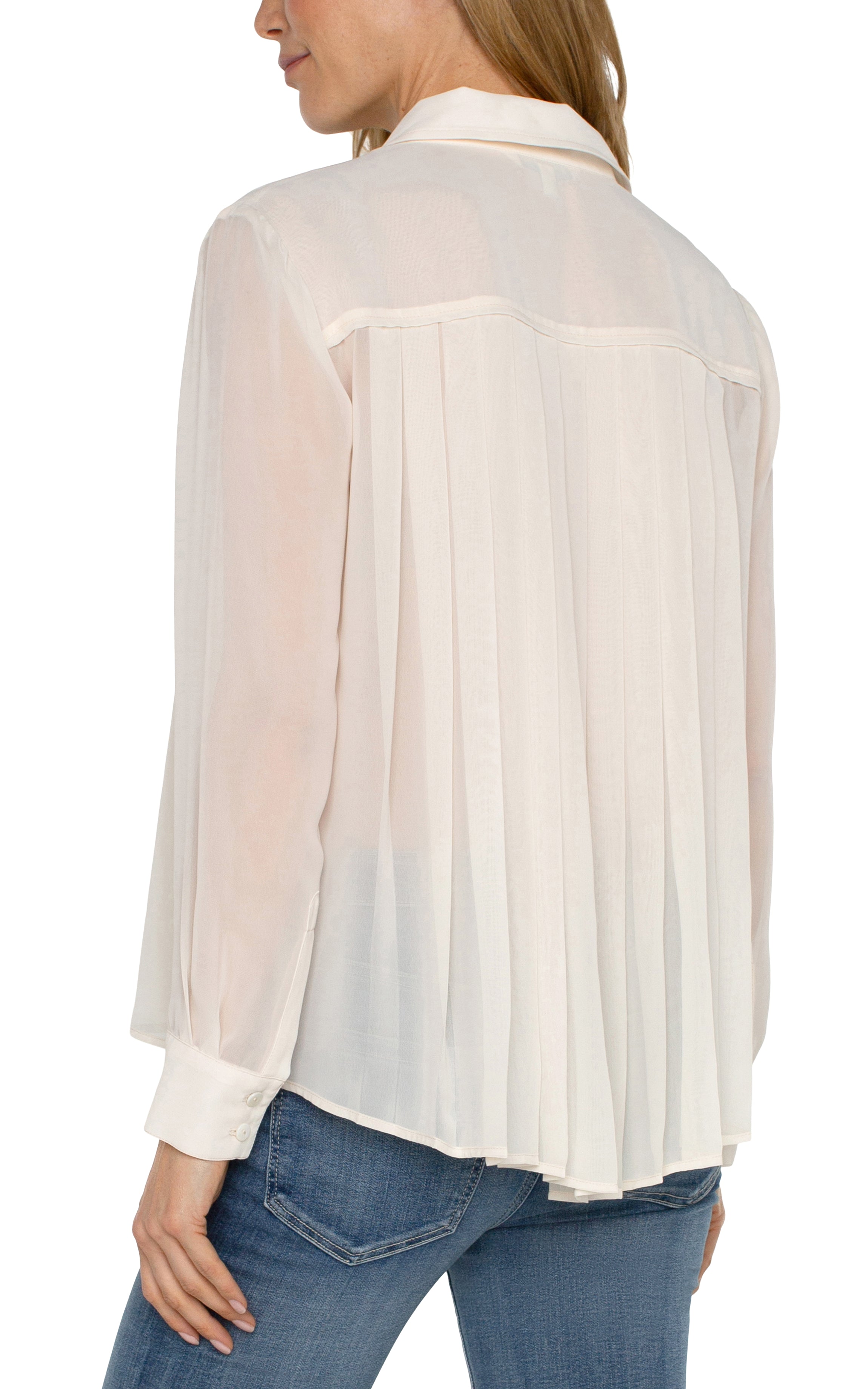 Long Sleeve Pleat Back Detail Blouse