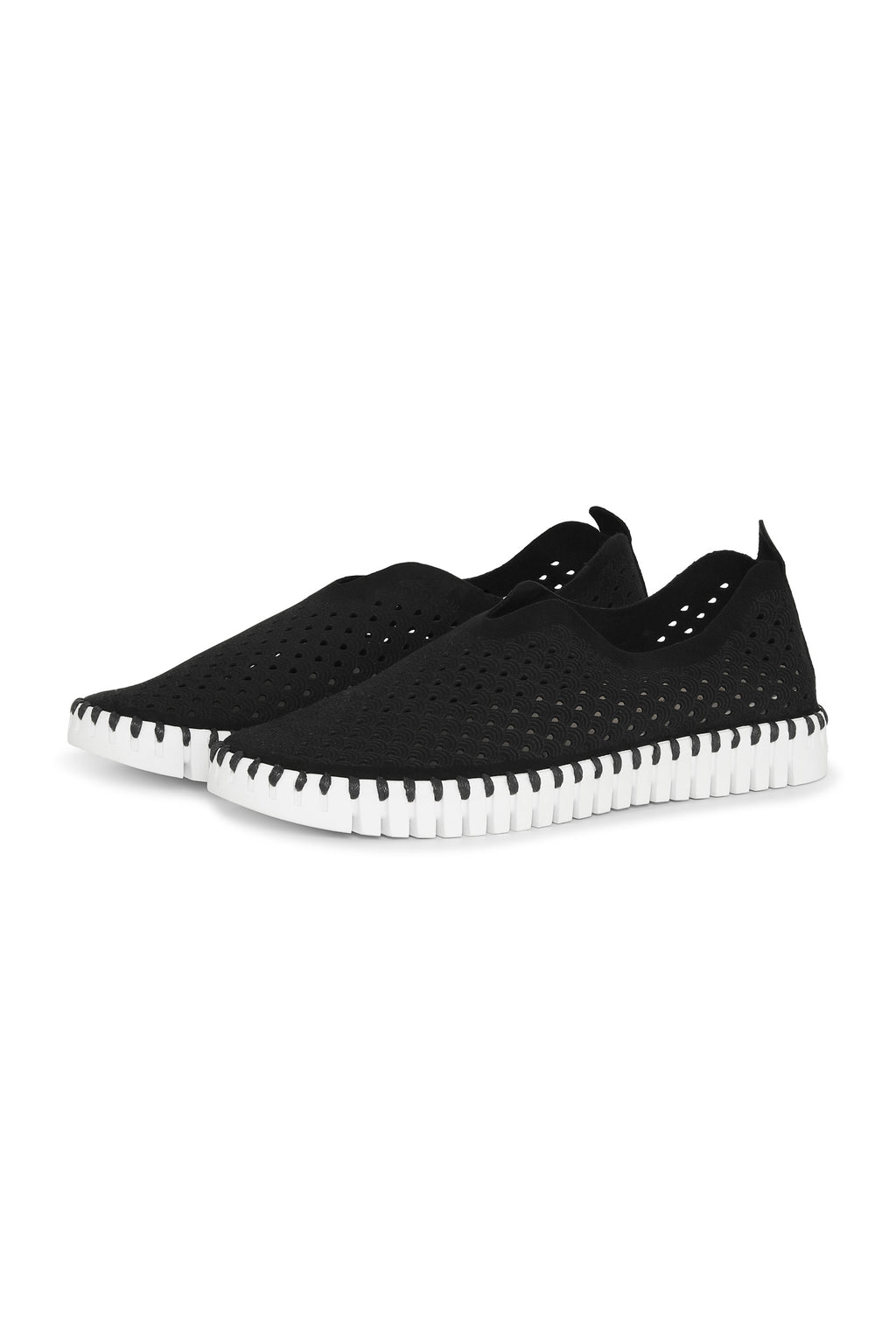 Tulip Laser Cut Flats
