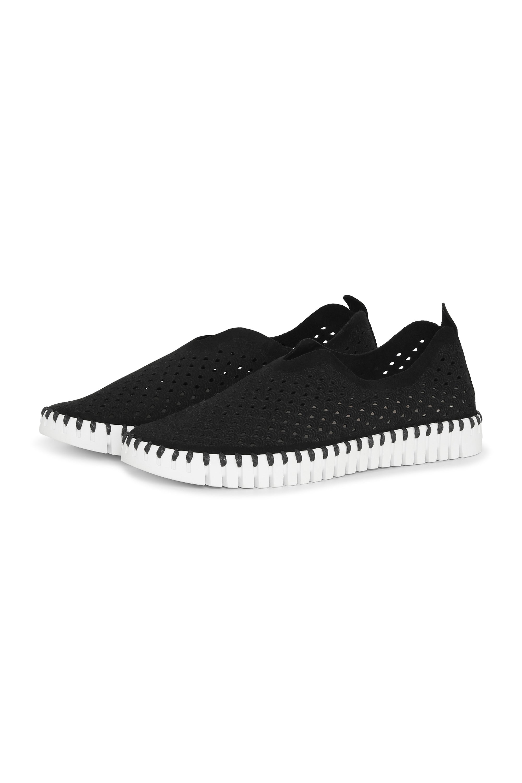 Tulip Laser Cut Flats