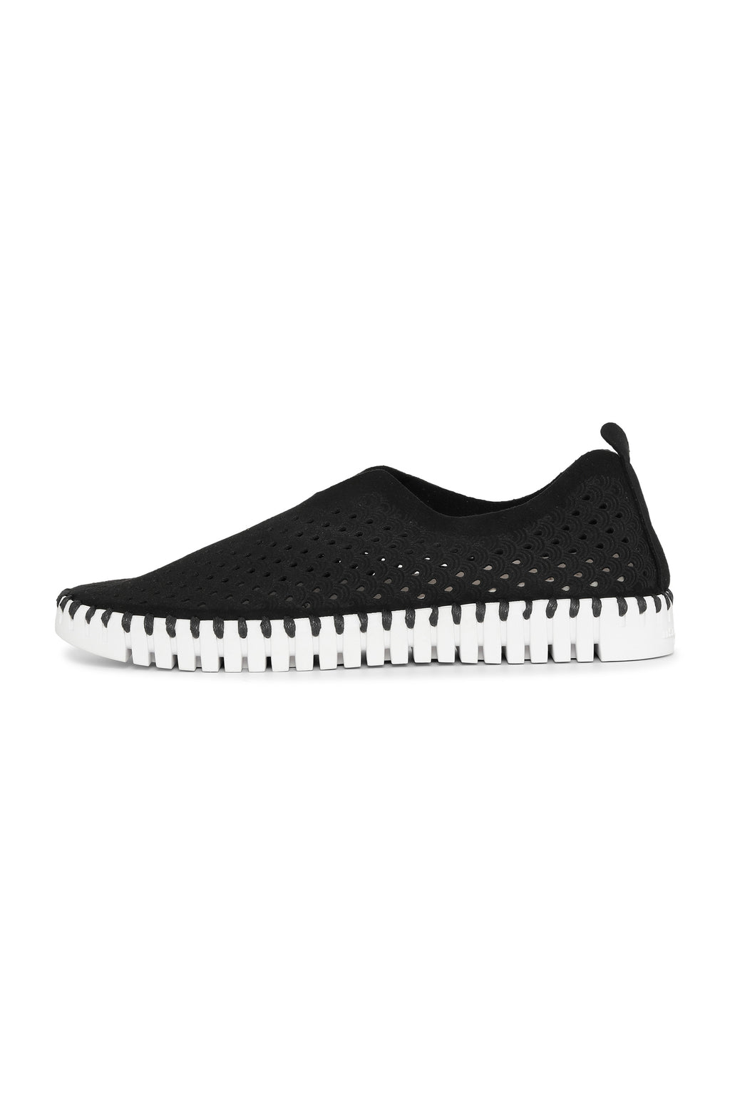 Tulip Laser Cut Flats