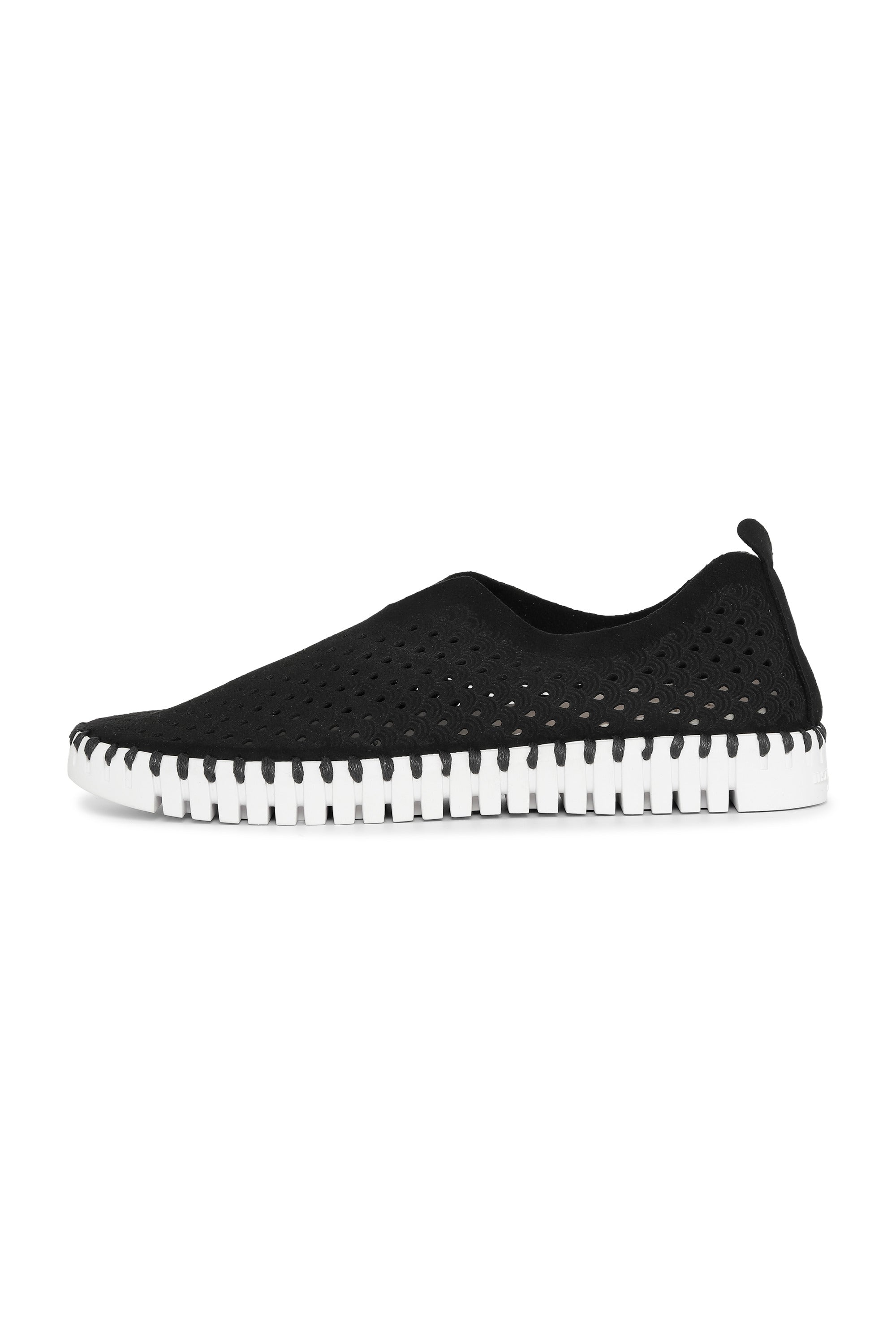 Tulip Laser Cut Flats