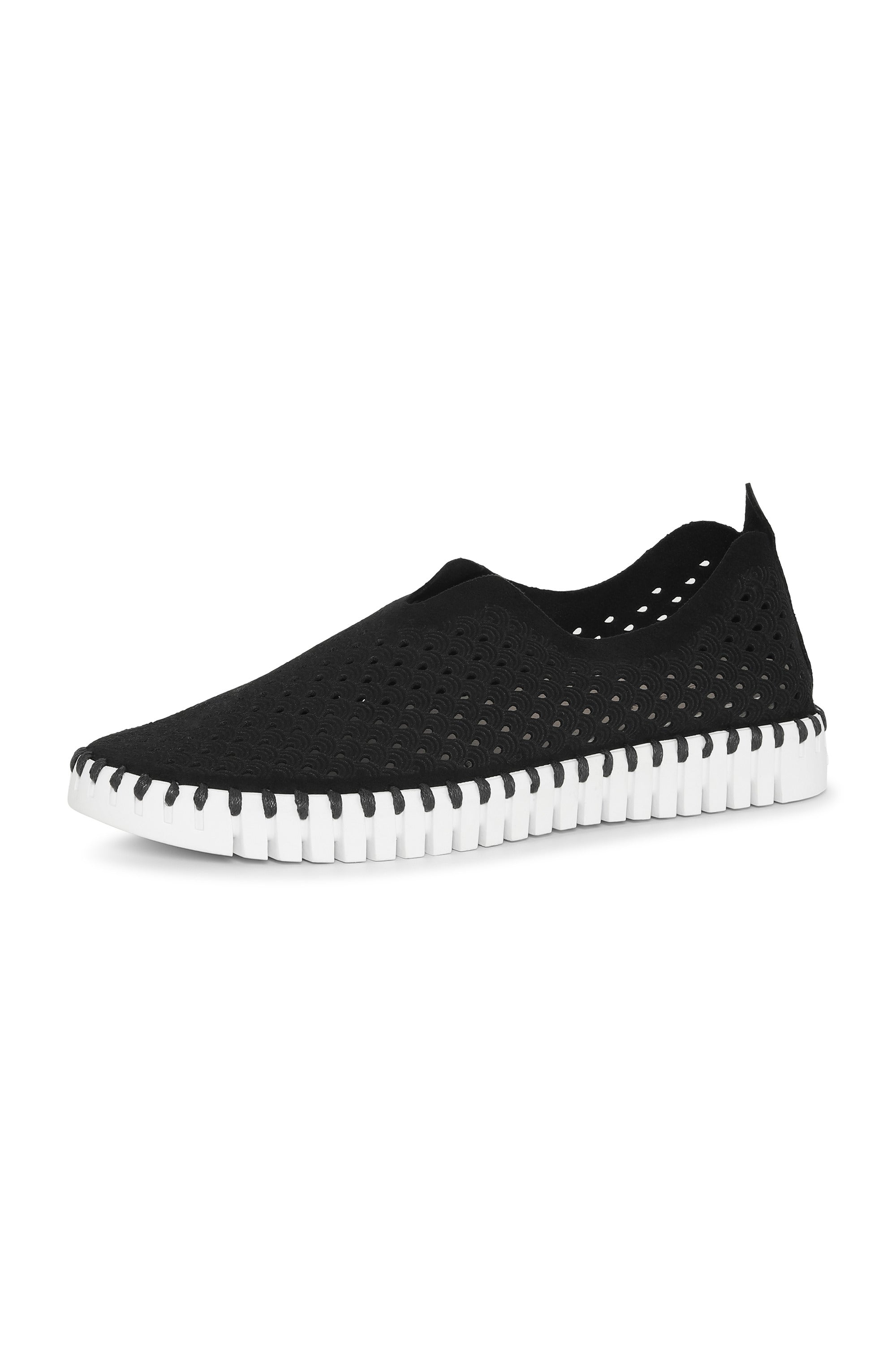 Tulip Laser Cut Flats