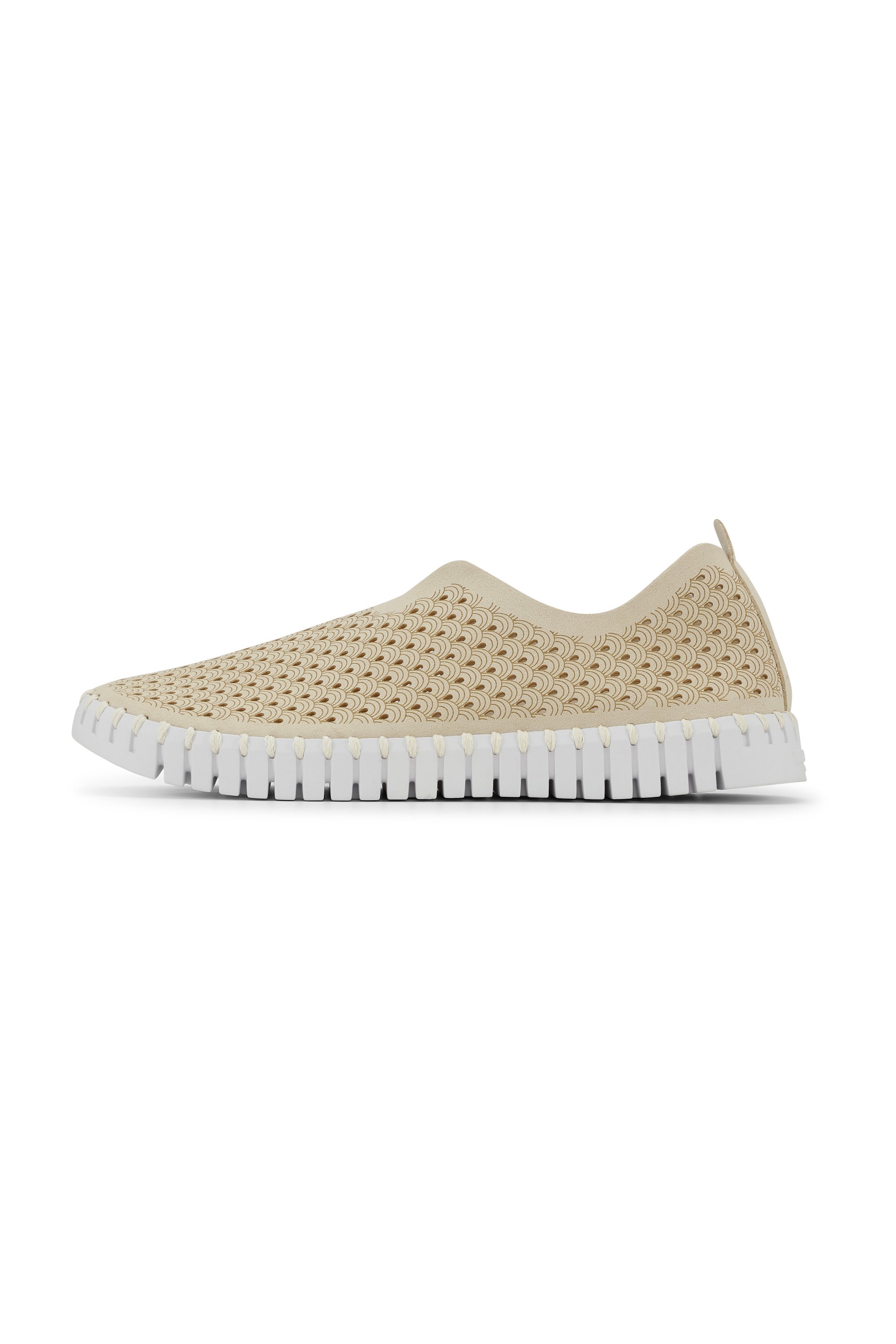 Tulip Laser Cut Flats