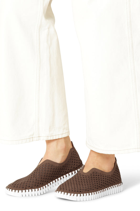 Tulip Laser Cut Flats