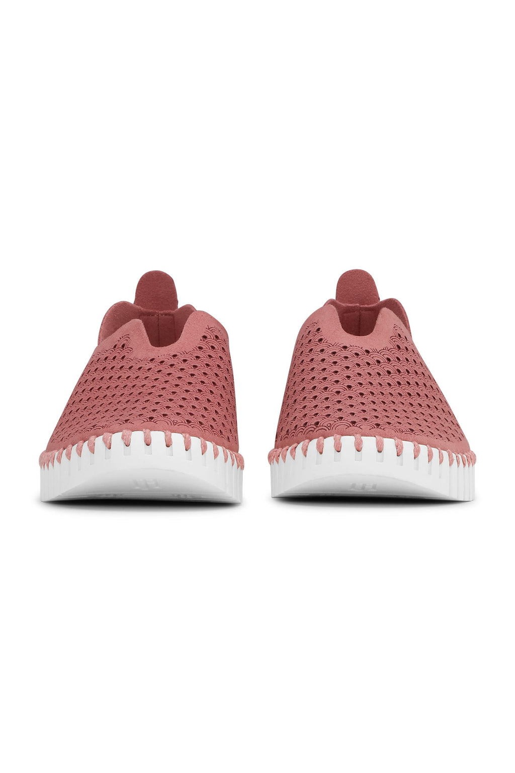 Tulip Laser Cut Flats