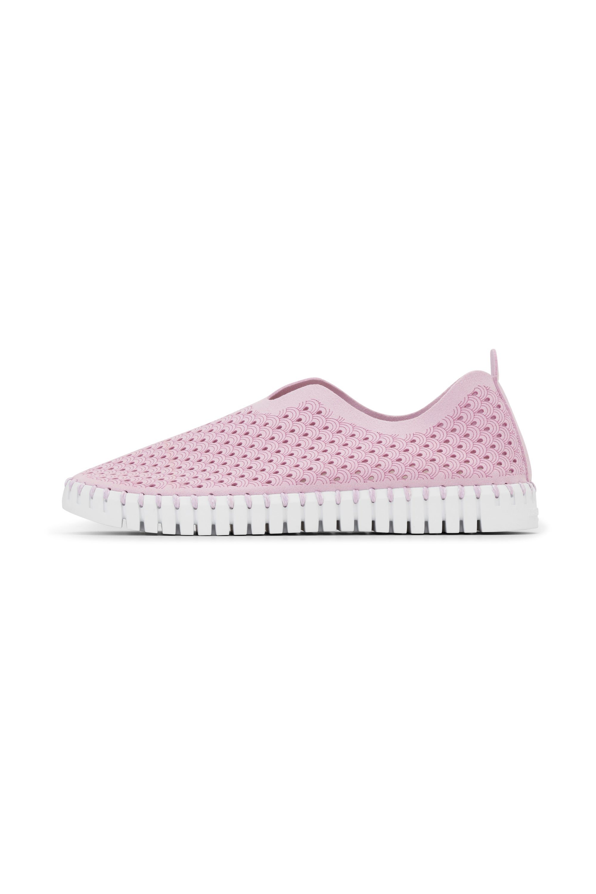 Tulip Laser Cut Flats