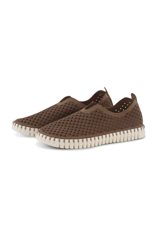Tulip Laser Cut Flats
