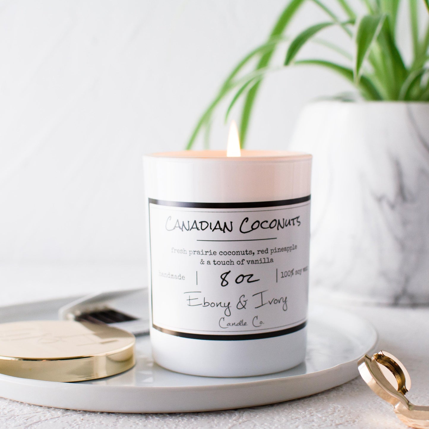 Canadian Coconuts Candle