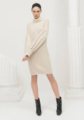 Knit Turtleneck Sweater Dress