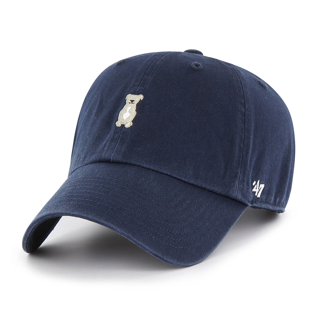 Pit Bull '47 Clean Up Dad Cap