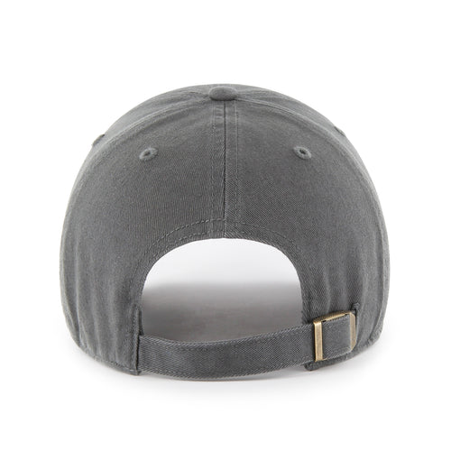 Golden Retriever '47 Clean Up Dad Cap