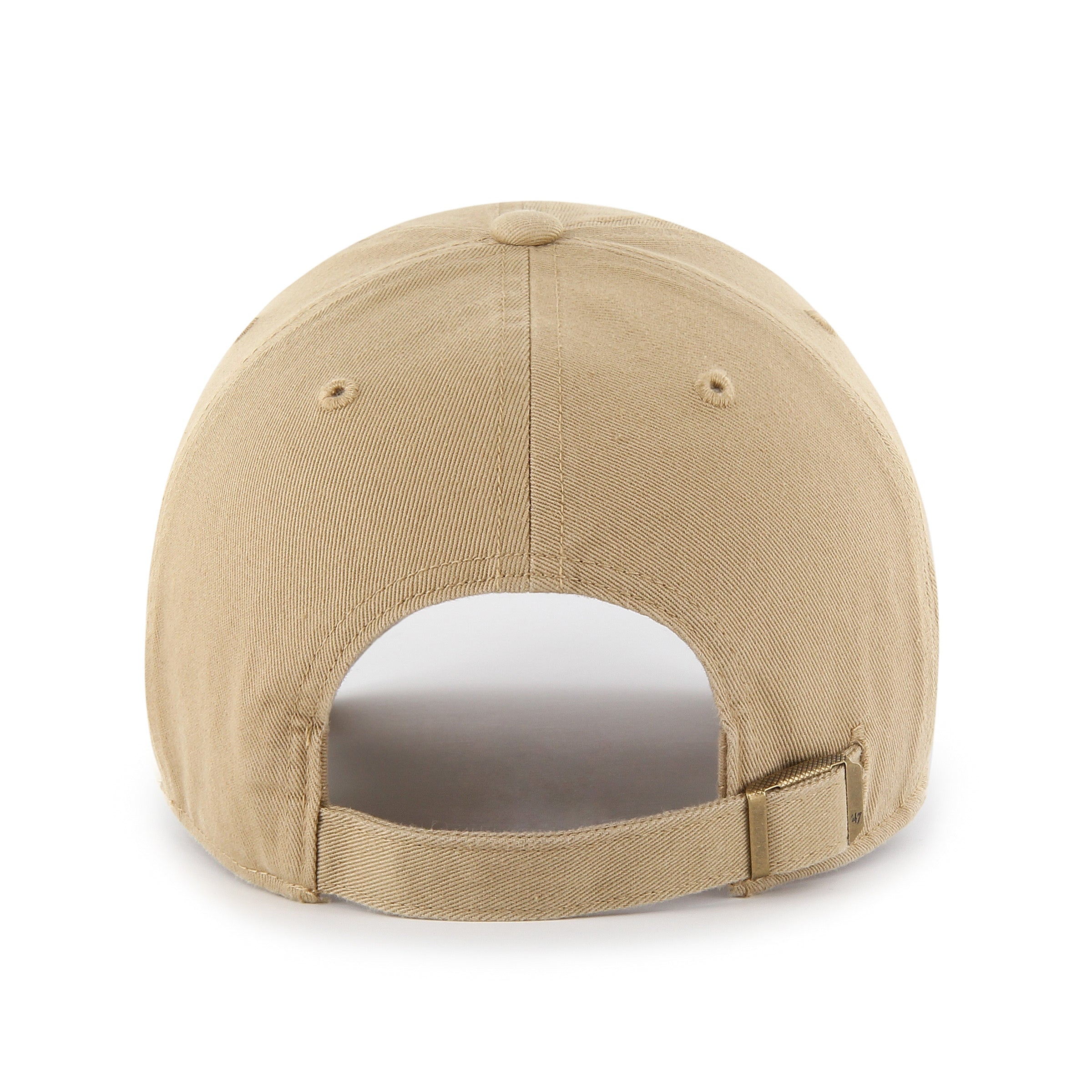 Chocolate Lab '47 Clean Up Dad Cap