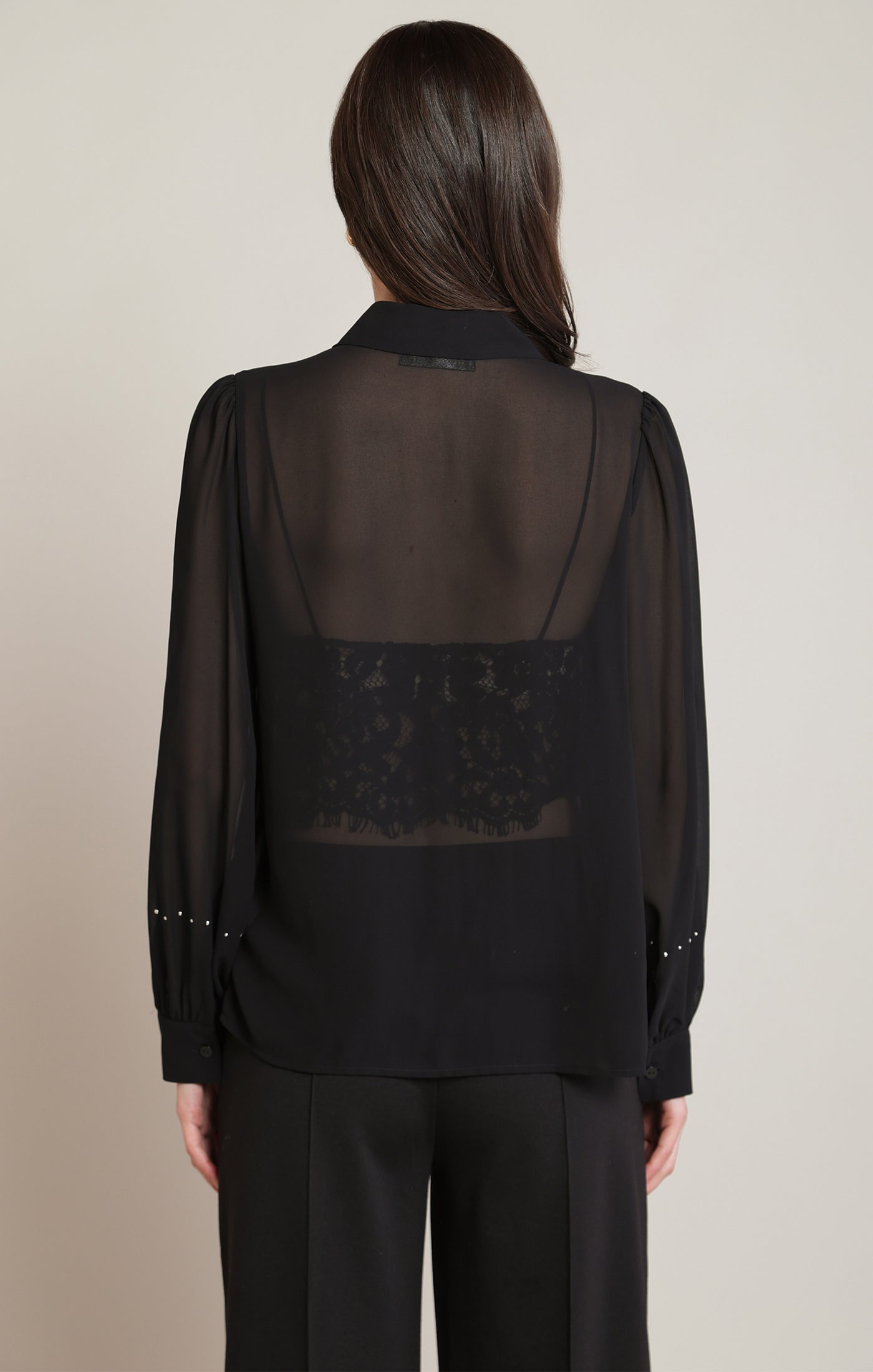 Sheer Pleated Studs Blouse