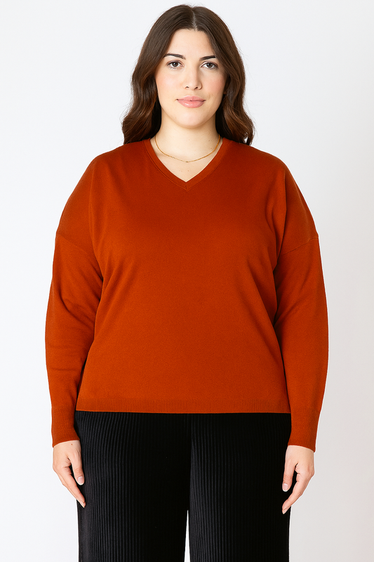 Soft Touch Sweater | Plus