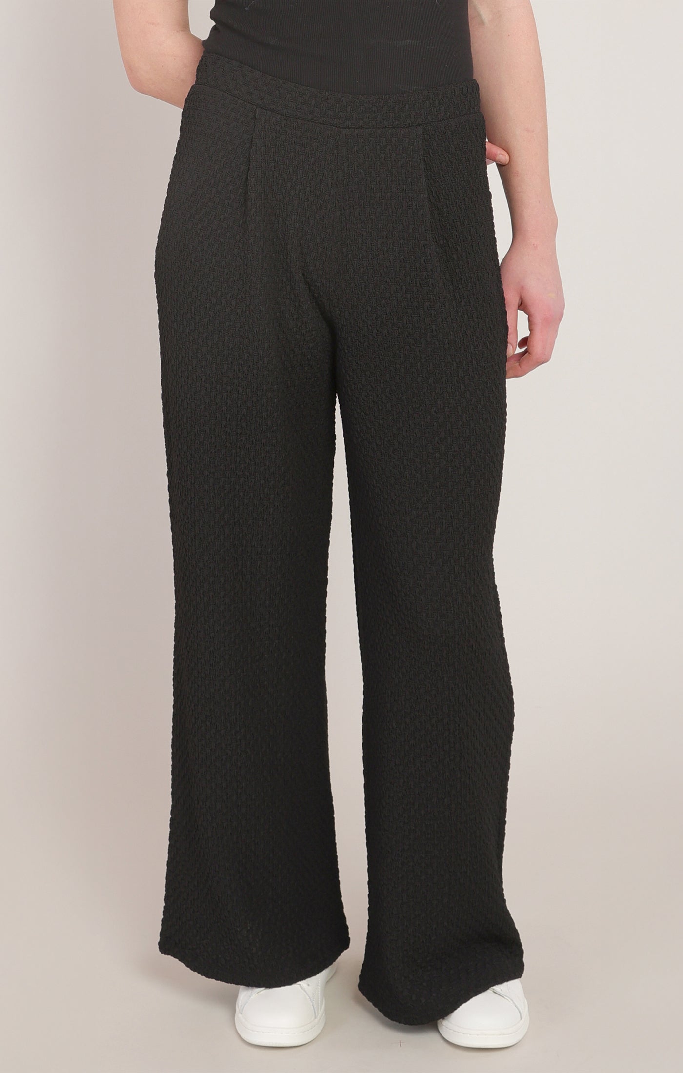 Textured Wide Leg Pleated Pant