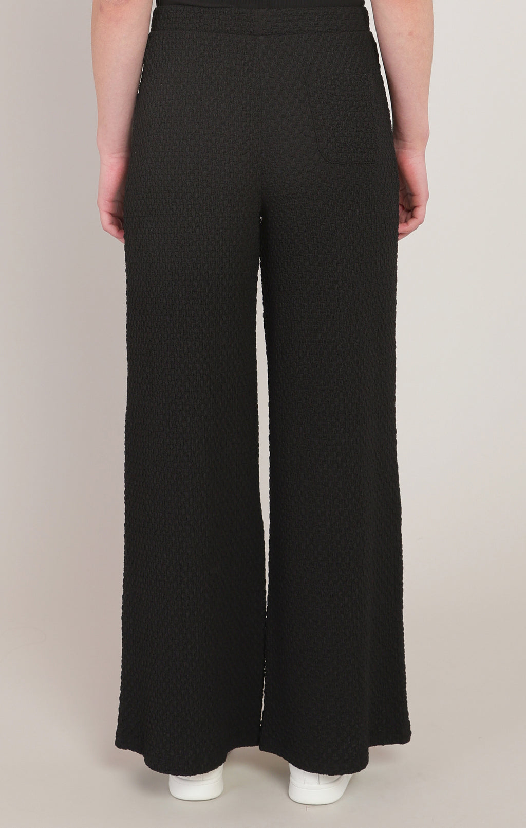 Textured Wide Leg Pleated Pant
