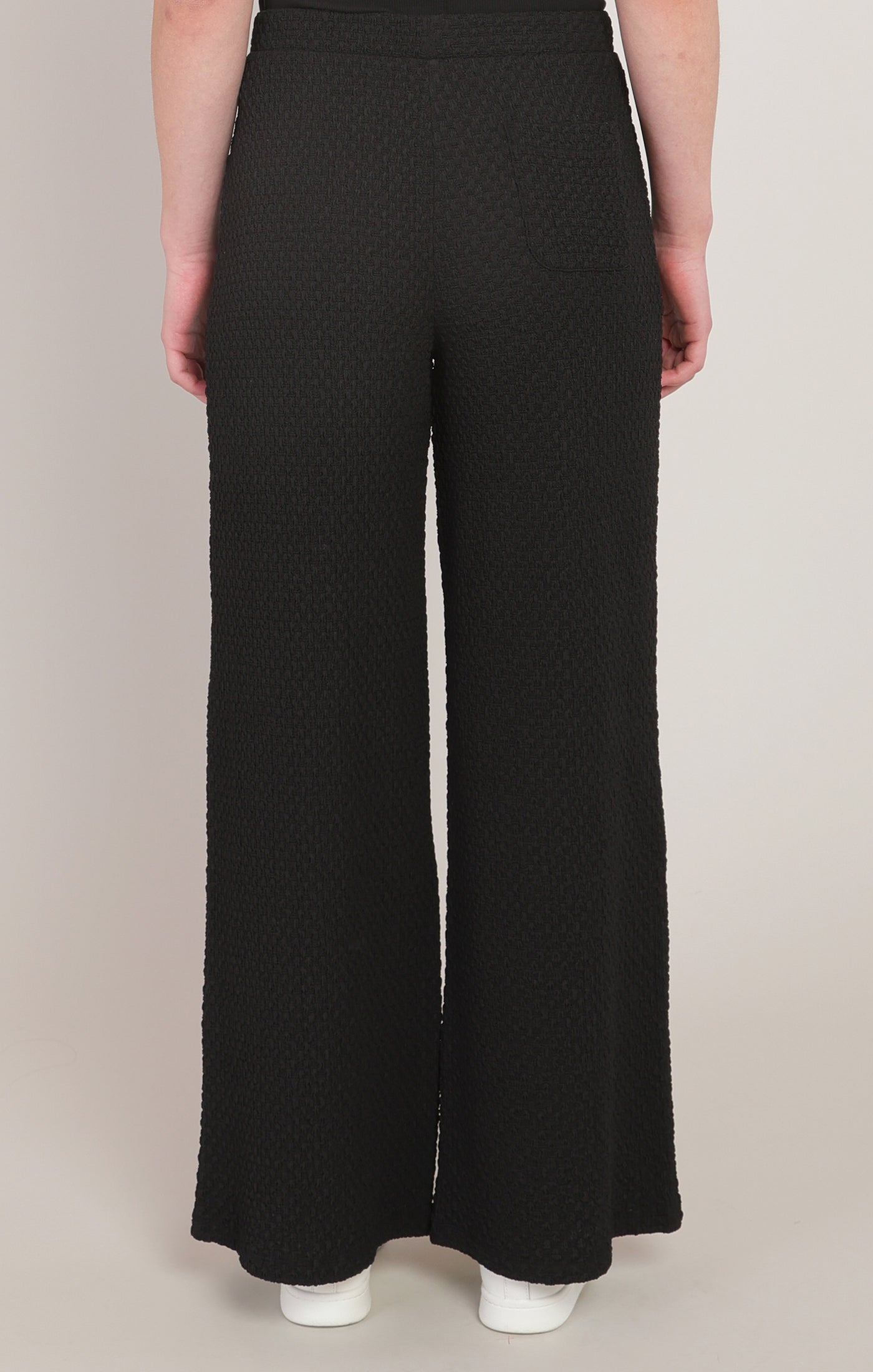Textured Wide Leg Pleated Pant