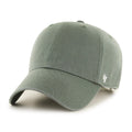 Blank '47 Clean Up Dad Cap